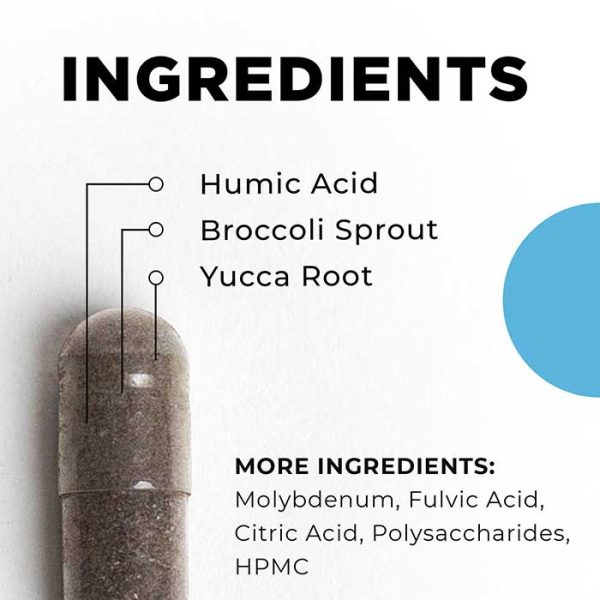 Biotoxin Binder by CellCore Biosciences Review Lifespark Nutrition